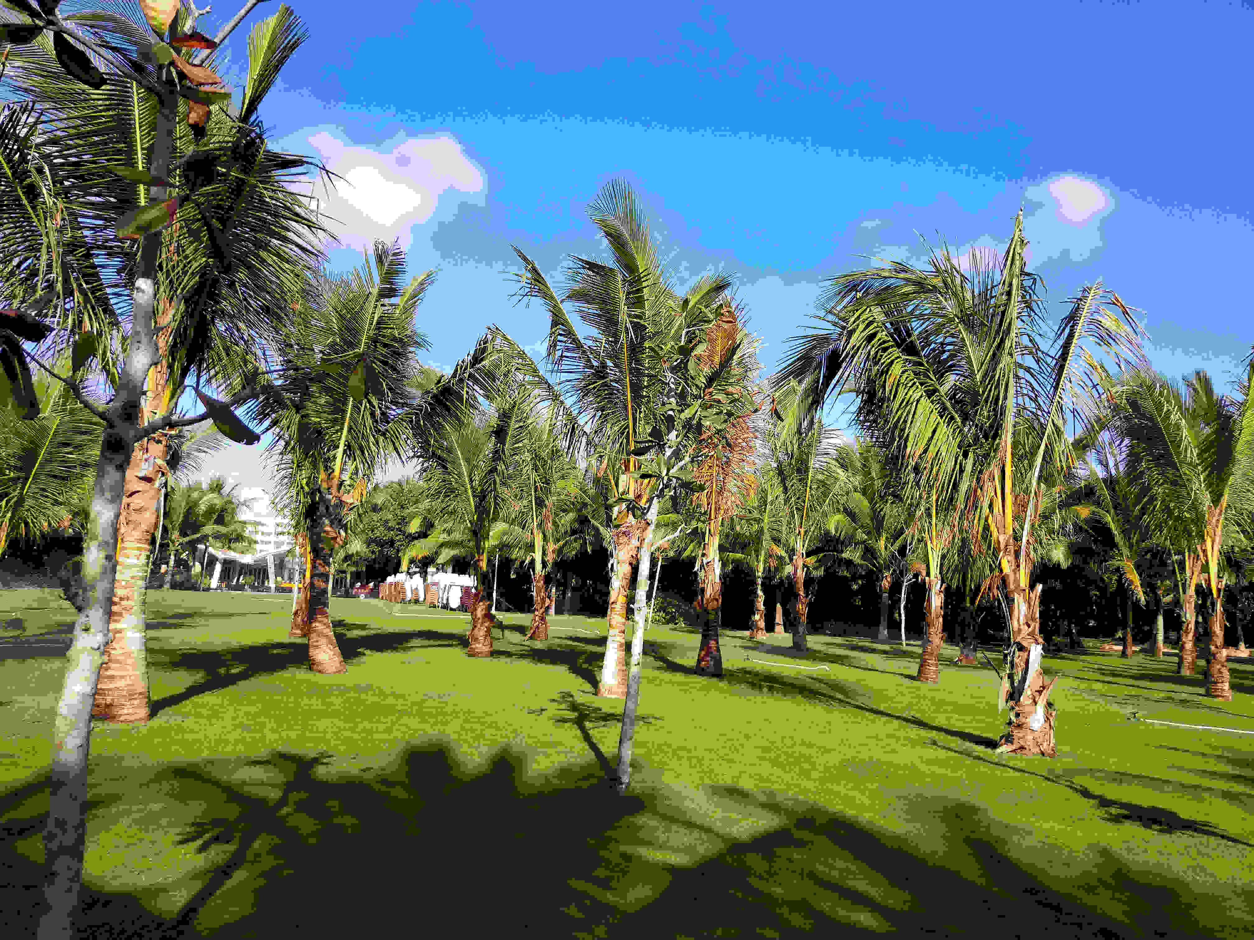 到三亚避寒，你却只知道亚龙湾？聪明人儿都选择了这里