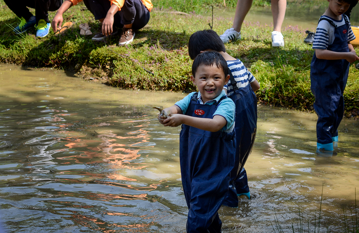 分享肇庆一条浅浅的小溪，玩水摸鱼捡石子，适合亲子游好玩又安全__财经头条
