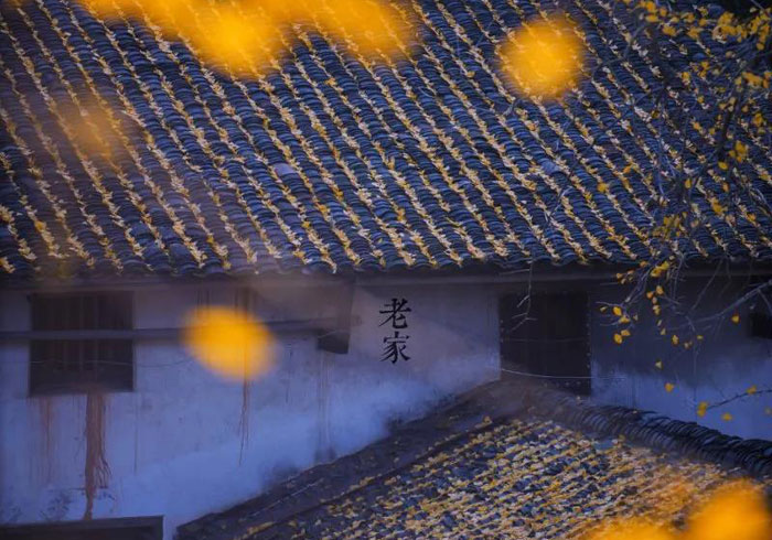 以秋为期 相约万安，2020万安县银杏节之乡村摄影大赛