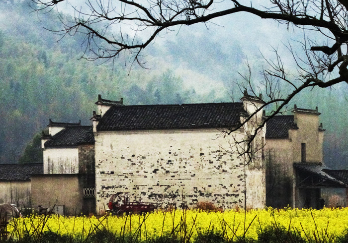 黟县归来无春色，这里蓄满了大地回春的高潮