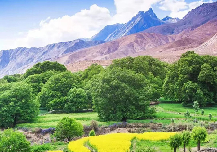 西藏朗县这三个景区值得深度游