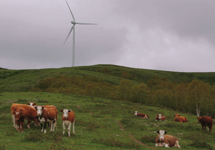 京北第一天路，夏天自驾游的最佳选择