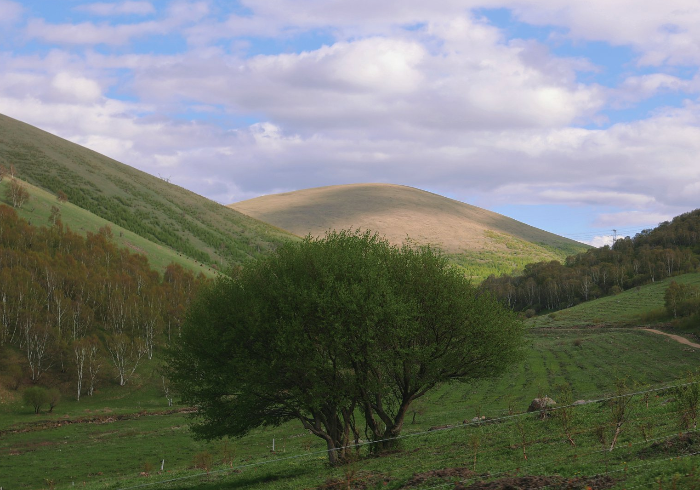 寻找夏天的凉爽，去京北第一天路吧！
