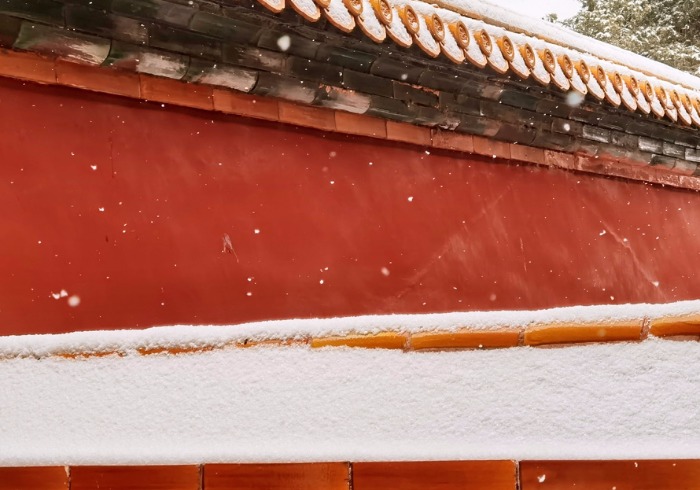 600年的紫禁城，一场大雪覆盖金瓦红墙，美得不动声色