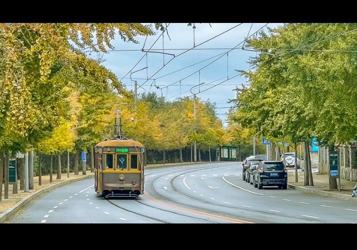 玩在大连、如果不知道这些免费景点就亏