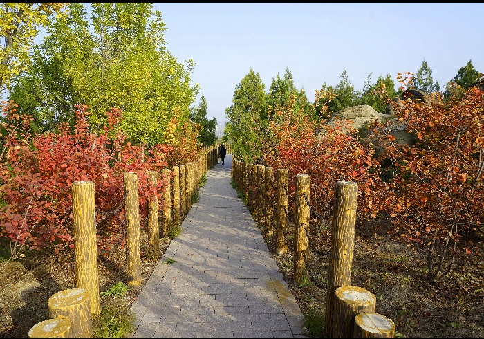 避开赏秋大潮，晚秋彩林观风景