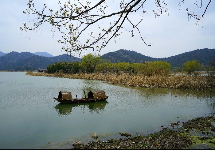 鸣鹤古镇：千年江南水乡的时光慢旅
