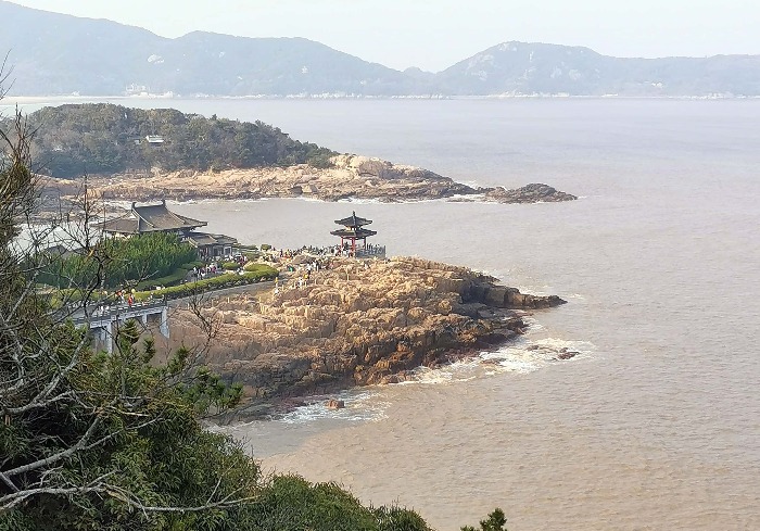 海天佛国普陀行，一草一木尽是禅意