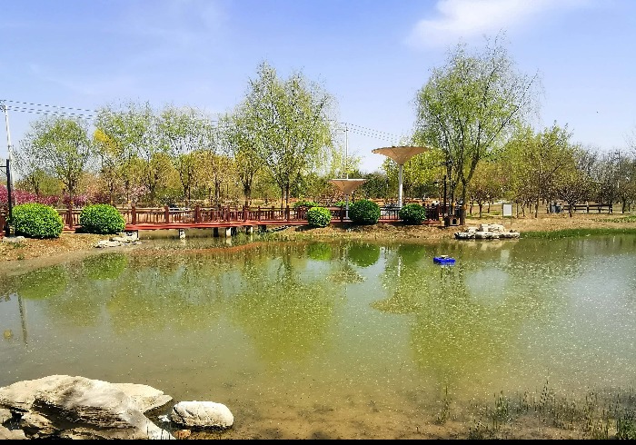 春日京城赏花处，北小河公园醉游人