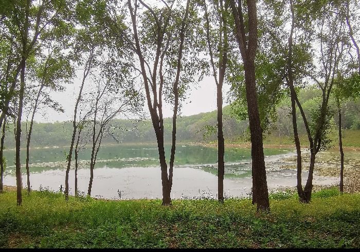 皇家园林旁，影湖楼的山水野趣